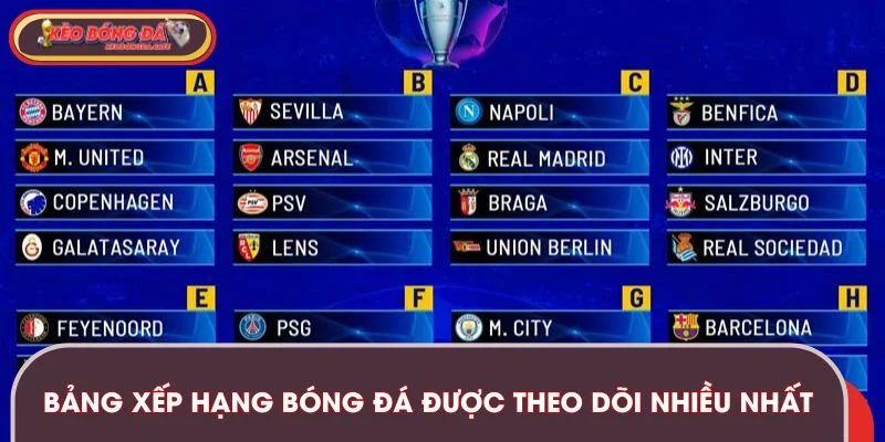 bang-xep-hang-duoc-theo-doi-nhieu-nhat